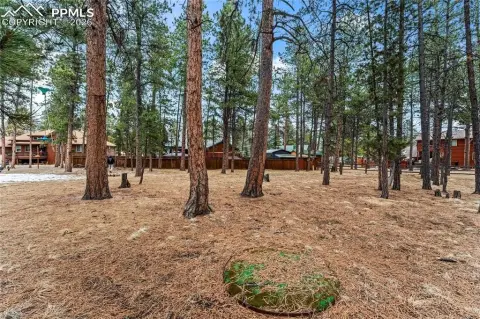 Woodland Park Land For Sale
