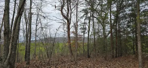 Unrestricted Land Near Sloppy Floyd