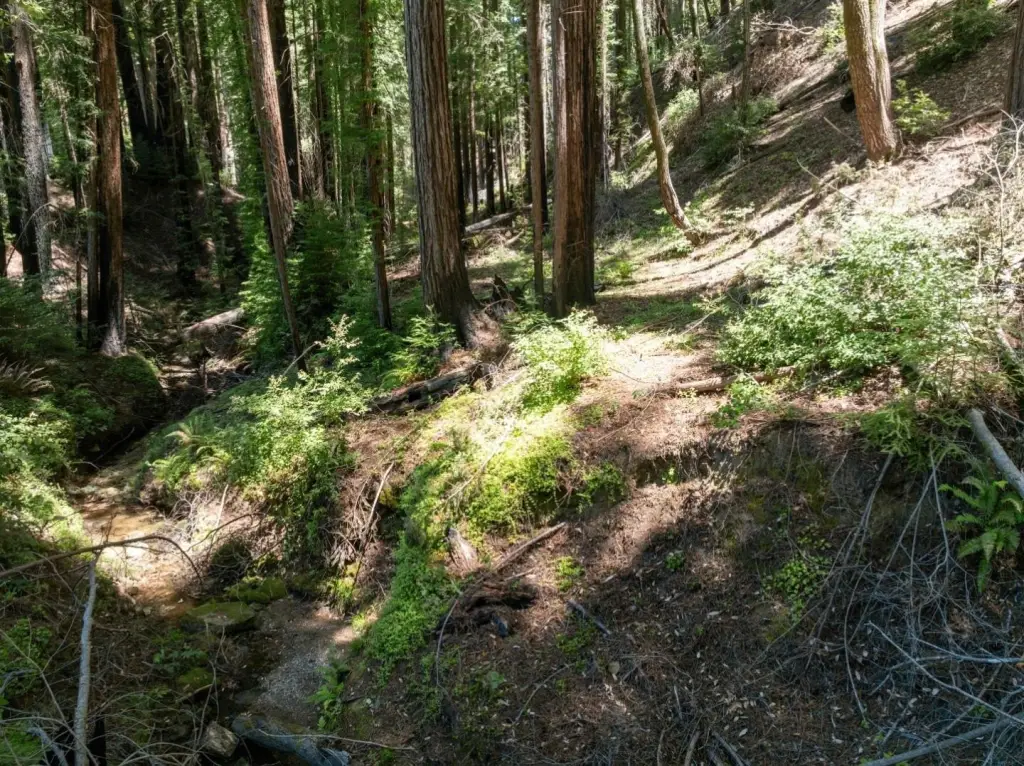 Picture 25