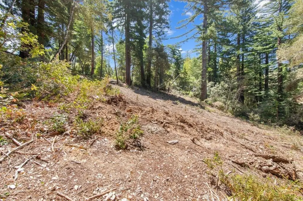 Picture 25