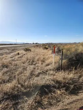 40 Acres with Highway Frontage