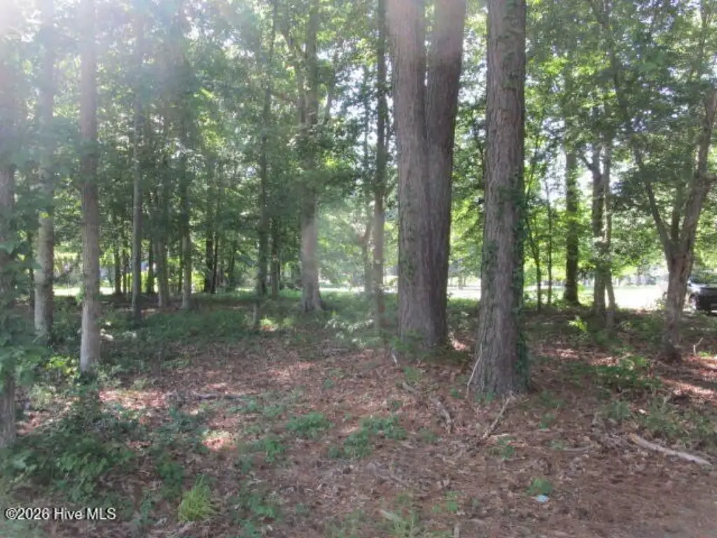 Picture 4