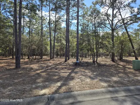 Waterfront Lot in Seascape Community