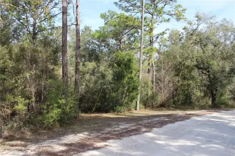 2.2-Acre Wooded Homesite