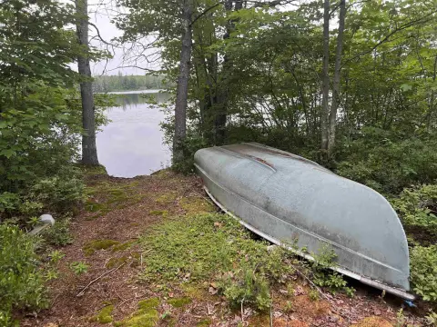 Wooded Lakefront Land