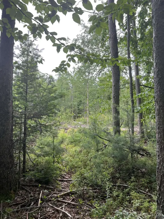 Picture 22