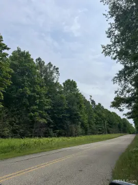 Wooded Hunting Land