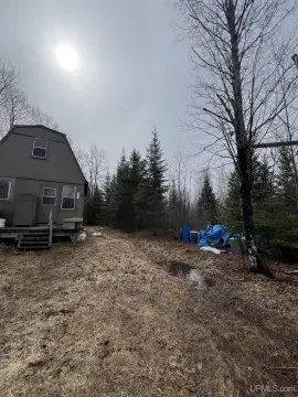 Hunting Land with Driveway