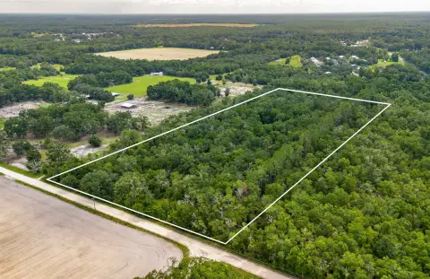 Expansive Land in Bell, Florida