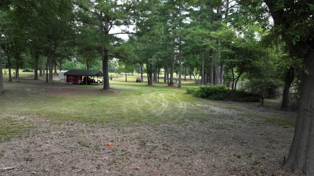 Picture 10