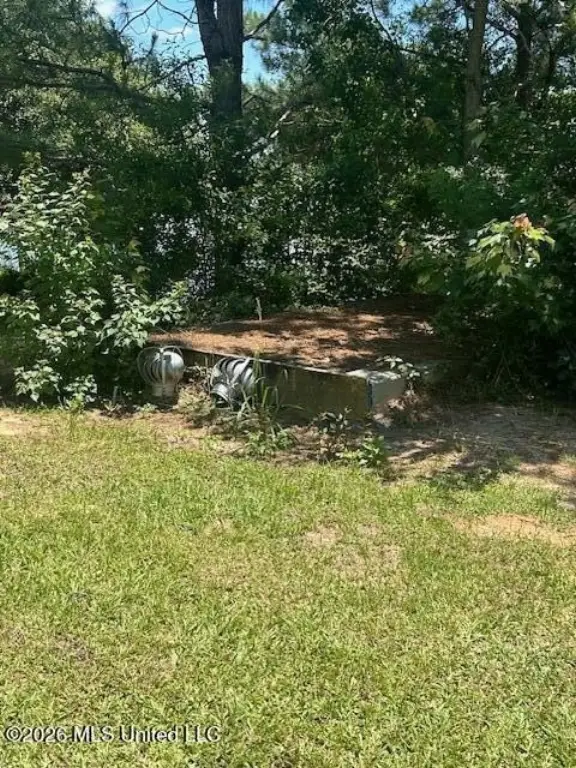 Picture 23