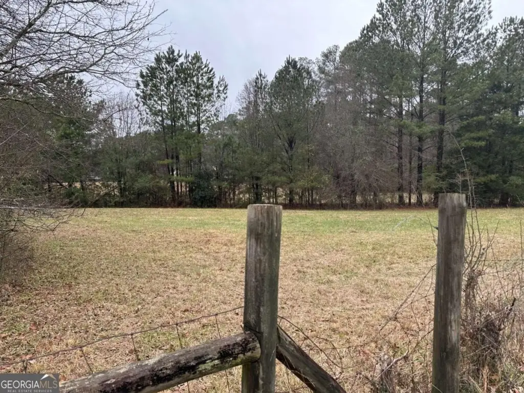 Picture 4