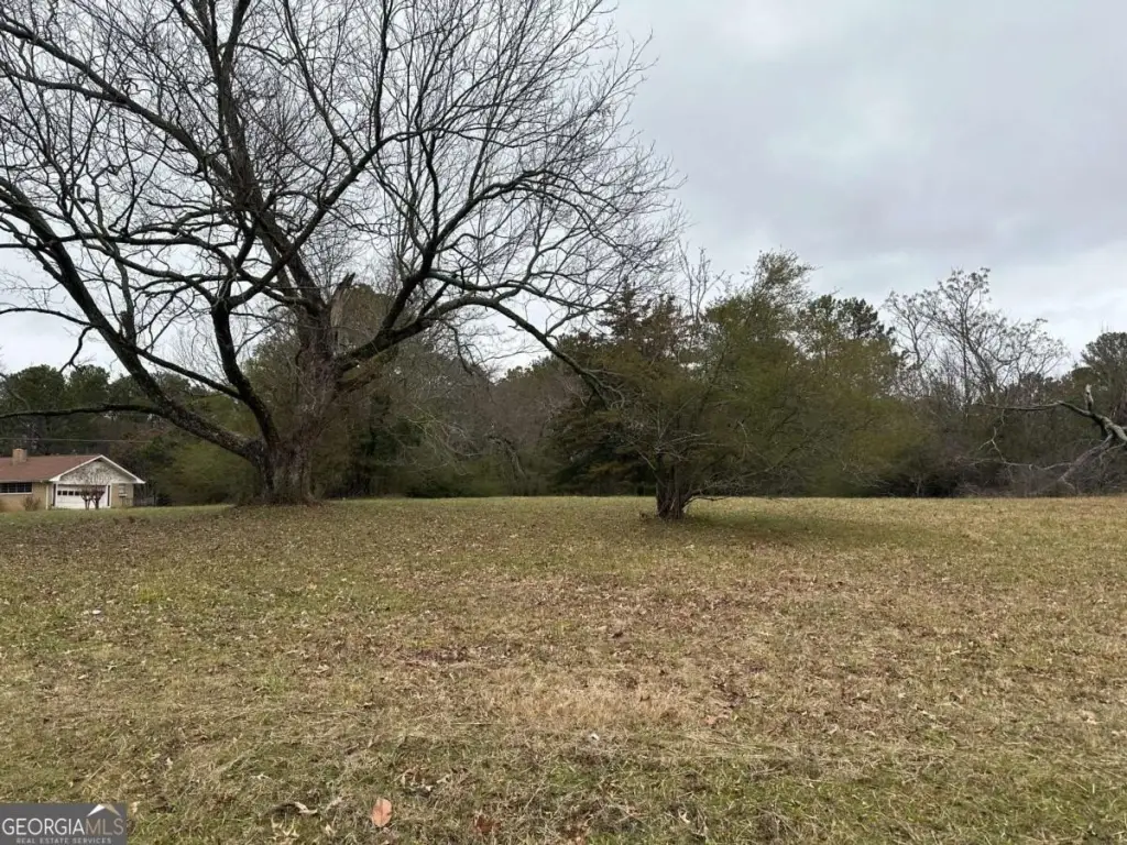 Picture 3