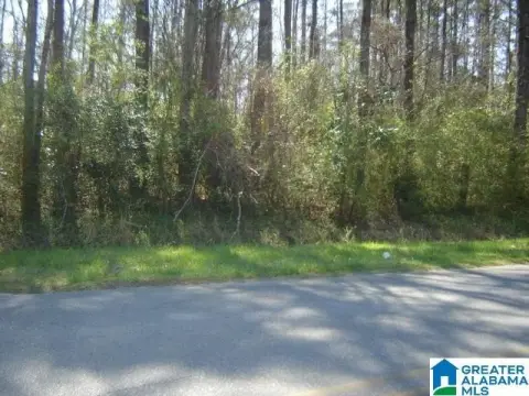 Prime Land on Highway 31