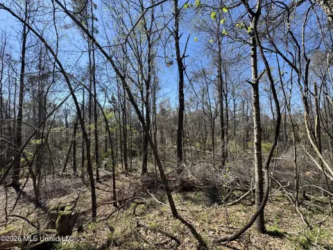 Holmes County Recreational Land