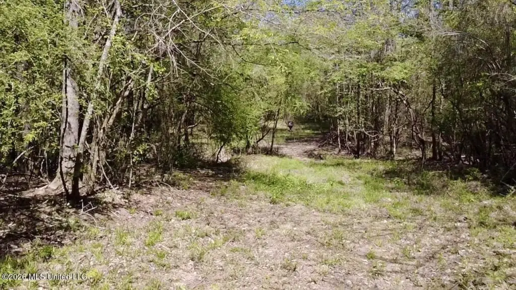Picture 19