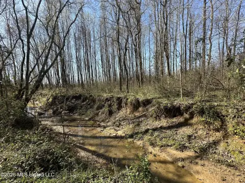 Recreational Land in Yazoo County