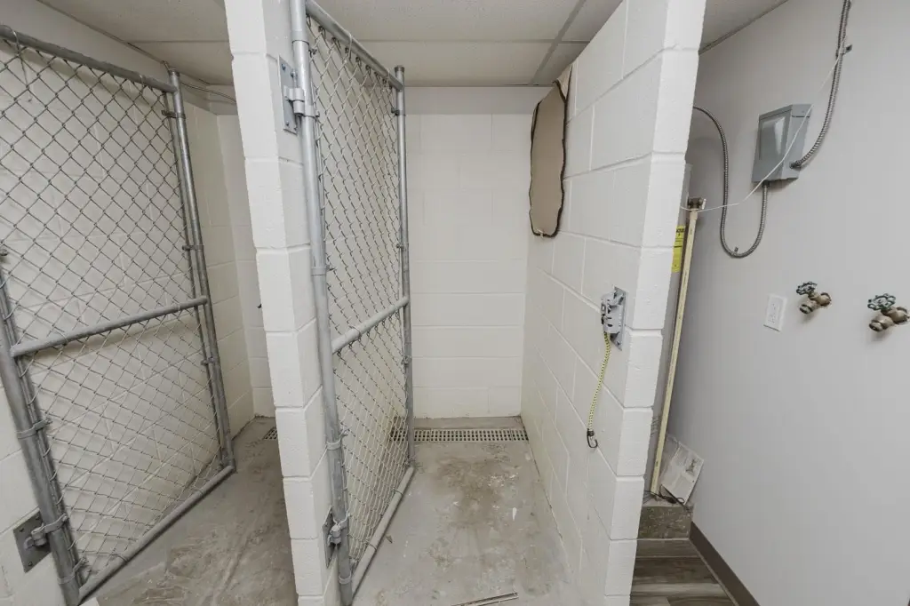Picture 18