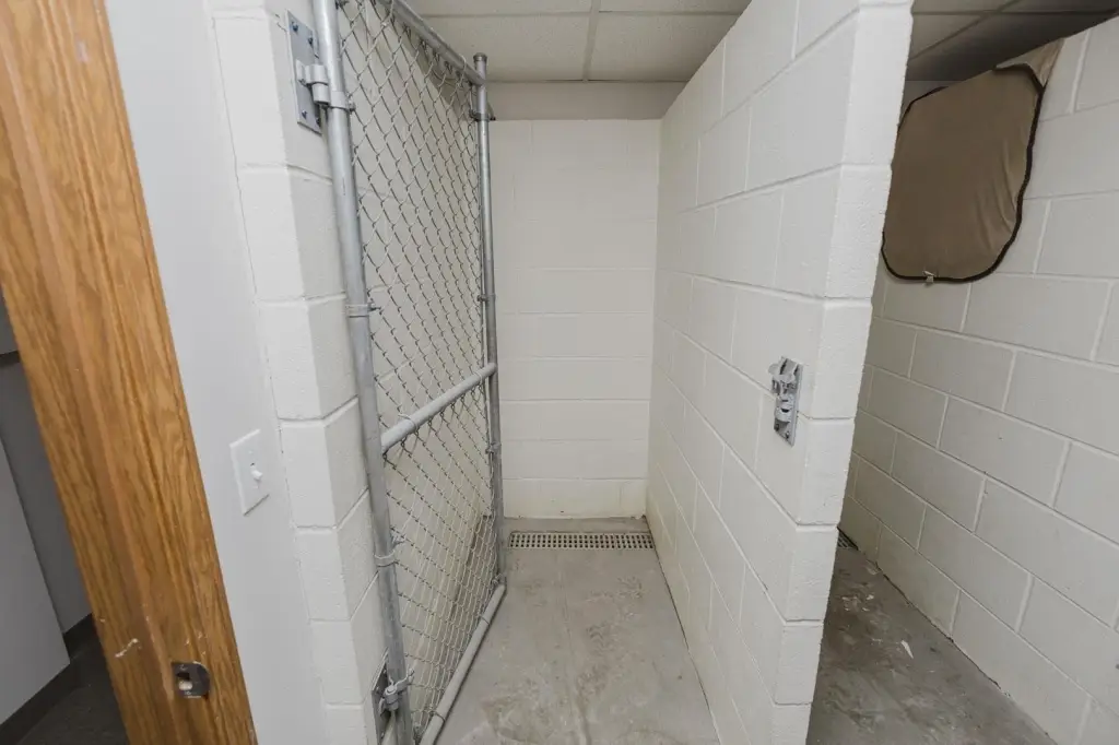 Picture 19