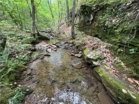 Ozone, AR Land Parcel