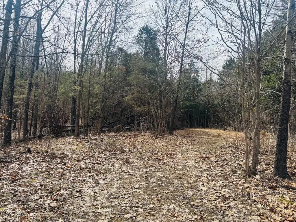 Picture 16
