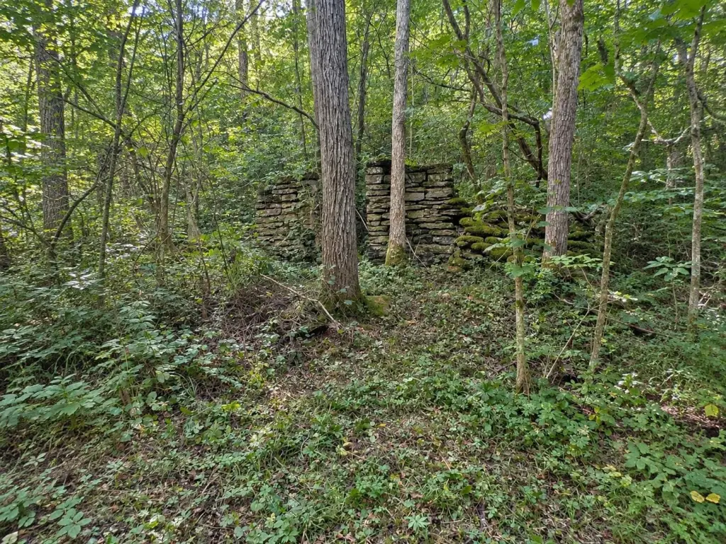 Picture 16