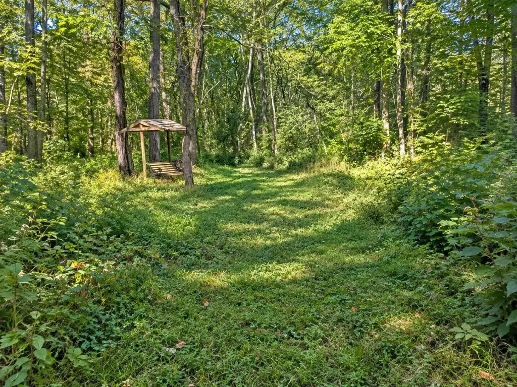 Picture 15