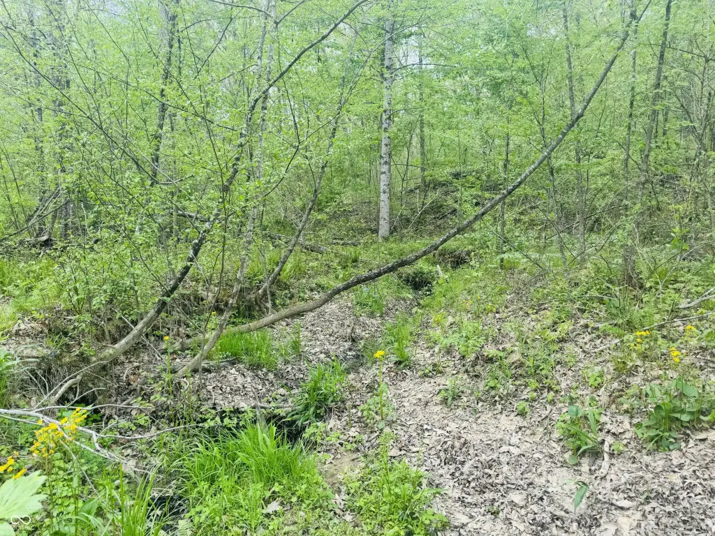 Picture 3