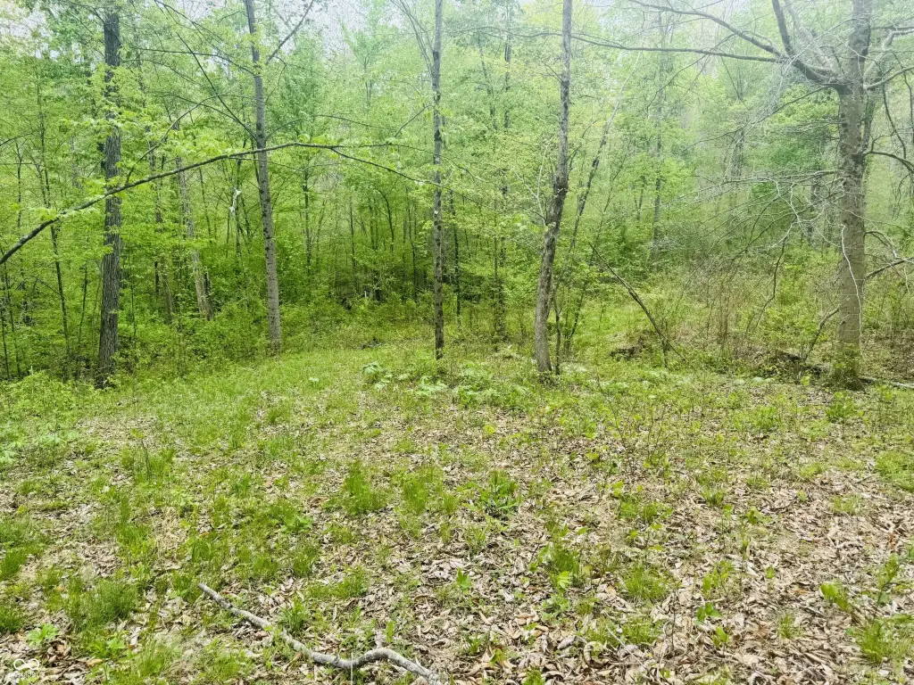 Picture 14