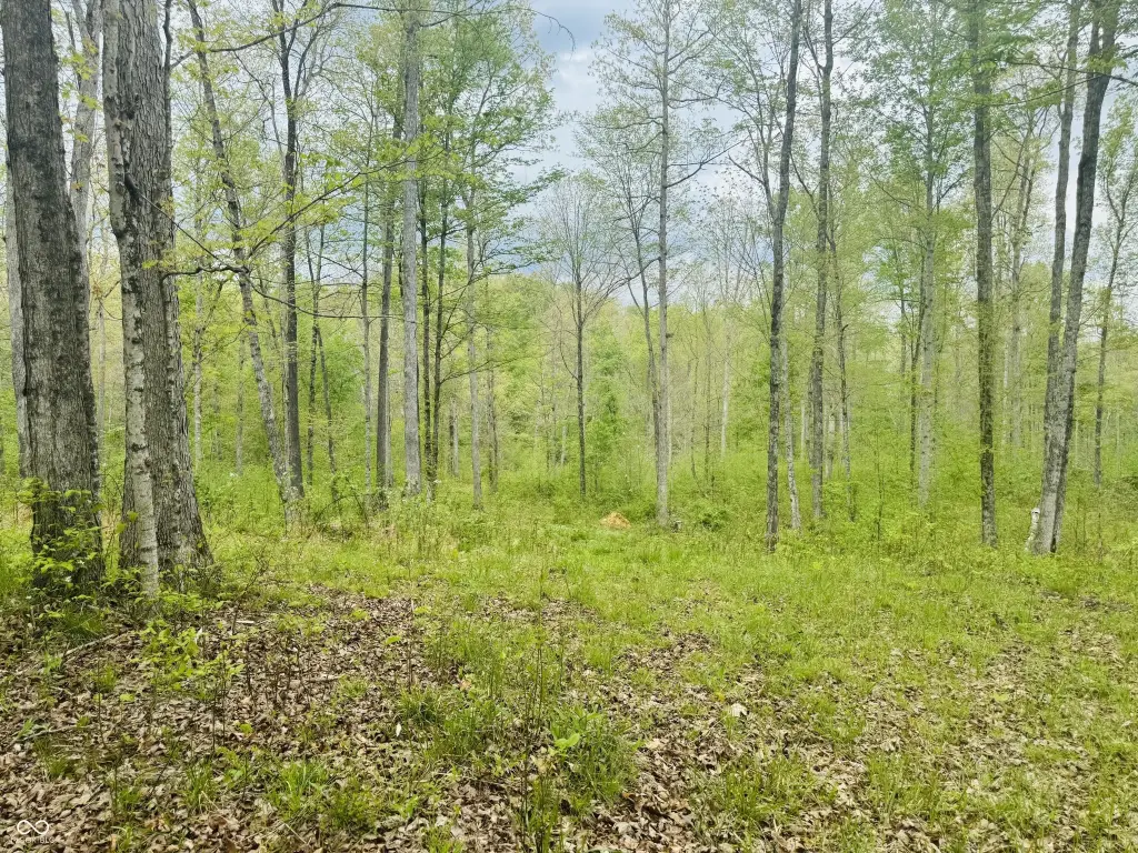 Picture 5