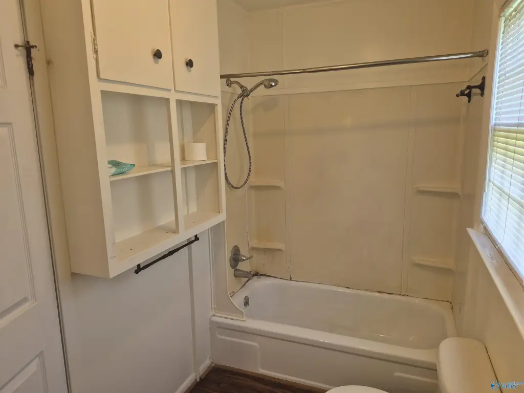 Picture 6