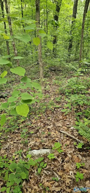 Picture 19