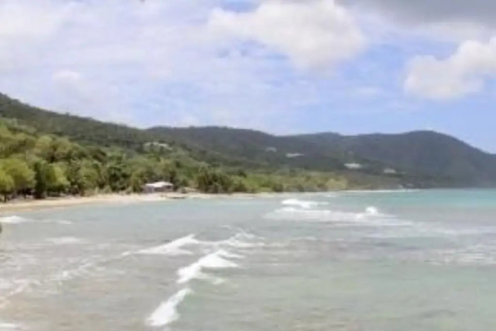 Picture 6