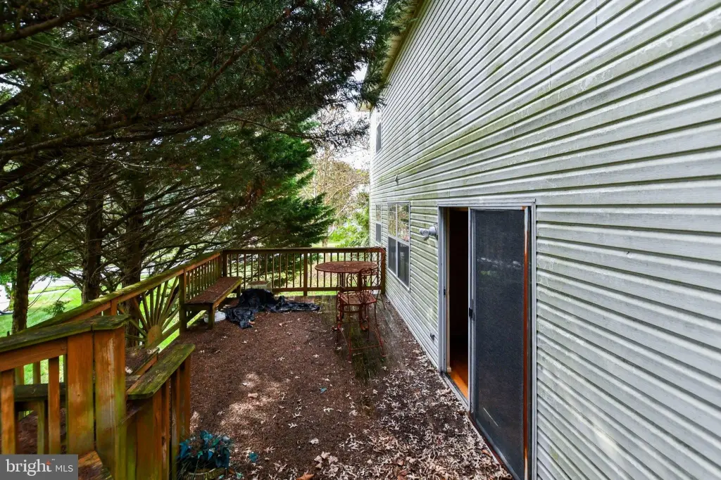 Picture 26