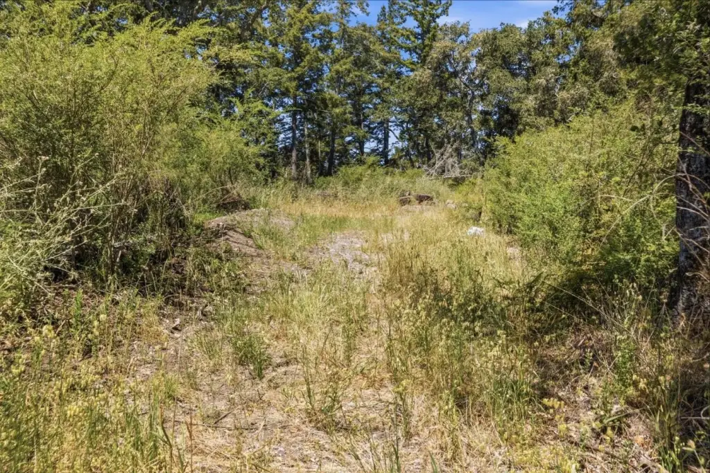 Picture 21