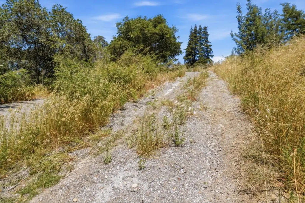 Picture 16