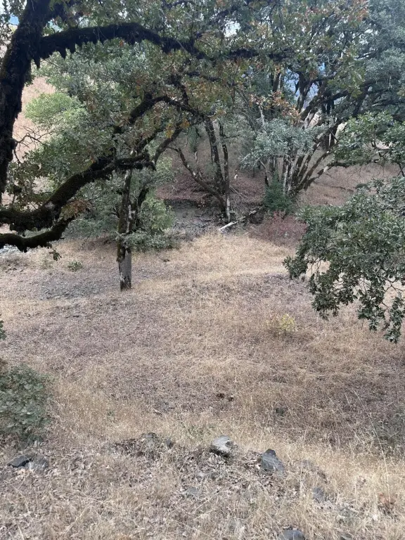 Picture 29