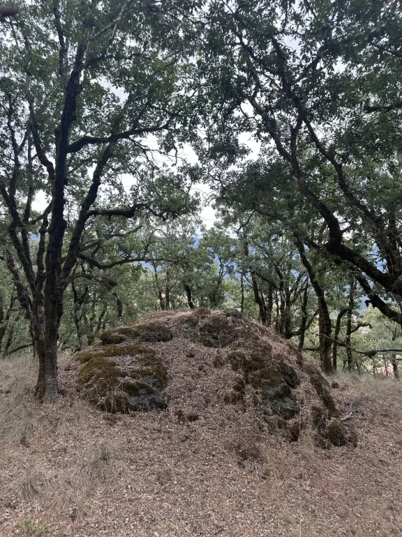 Picture 23