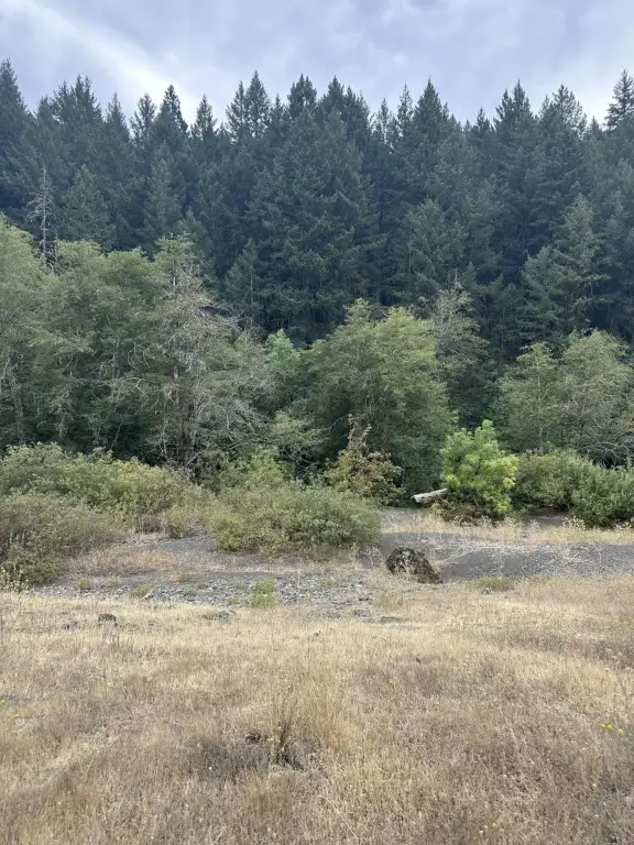 Picture 31