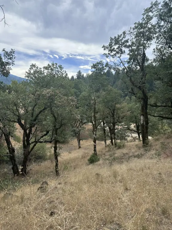 Picture 26