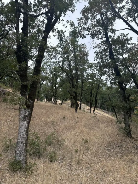 Picture 24