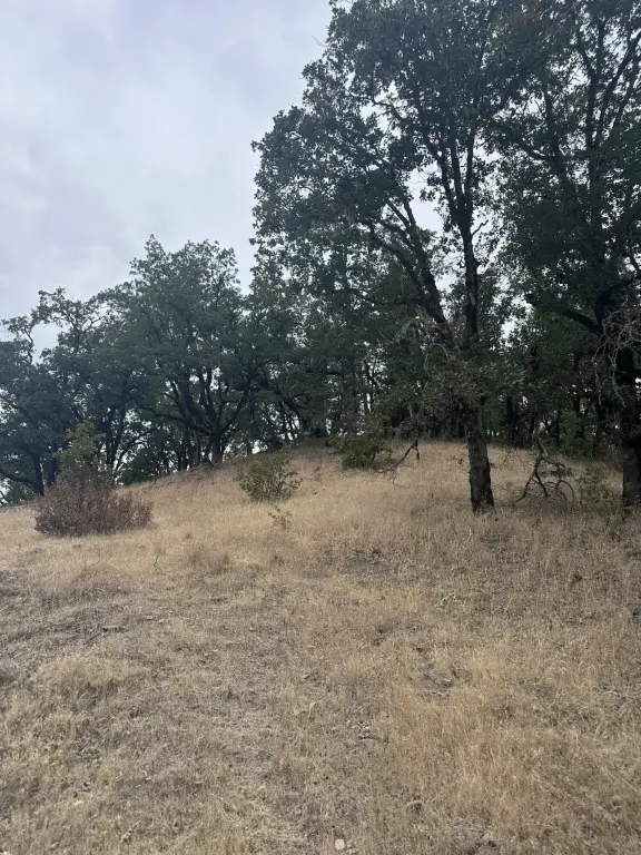 Picture 22
