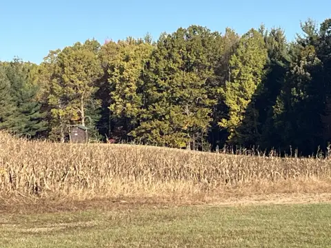 58 Acres Hunting/Farm Land