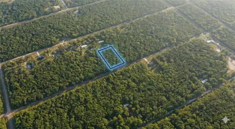 Buildable Land in Flagler Estates