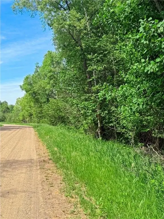 Picture 8