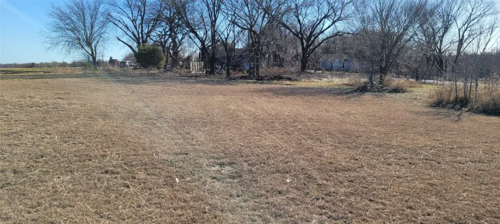 Picture 3