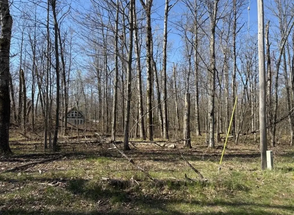Picture 2