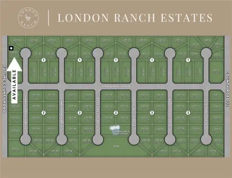Expansive Homesite in Gated Community