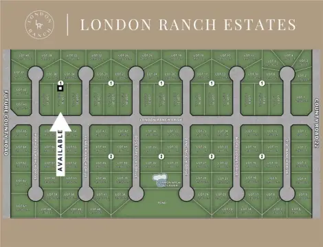 Expansive Homesite in Gated Community