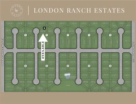 Expansive Homesite in Gated Community